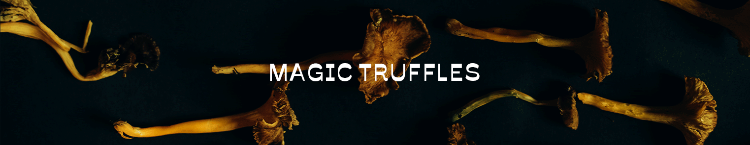 Magic Truffles