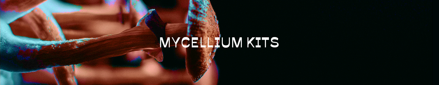 MYCELLIUM KITS