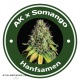 Auto AK X Auto Somango Hybride