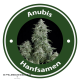Anubis