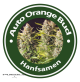 Auto Orange Bud