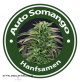 Auto Somango