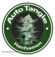 Auto Tangie