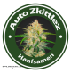 Auto Zkittlez