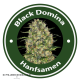 Black Domina