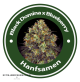 Black Domina X Blueberry Feminised Hybrid
