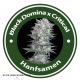 Black Domina X Critical Feminised Hybrid