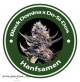 Black Domina X Do-Si-Dos Feminised Hybrid