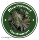 Blue Pyramid