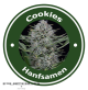 Cookies Autoflowering