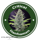 Critical Autoflowering