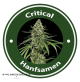 Critical
