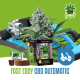 Fast Eddy CBD Automatic iGrowCan