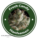 Fresh Candy
