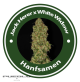 Jack Herer X White Widow Feminised Hybrid