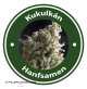 Kukulkán