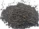 Morning Glory Seeds Purple 10g