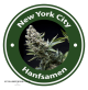 New York City Autoflowering