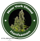 New York Diesel Autoflowering