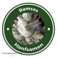 Ramses