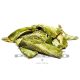 San Pedro Getrocknete Haut 10g