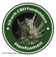 Shark CBD Feminised