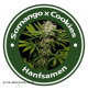Somango X Cookies Feminised Hybrid