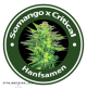 Somango X Critical Feminised Hybrid