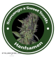 Auto Somango X Auto Sweet Tooth Hybride