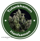 Tutankhamon Autoflowering