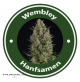 Wembley Autoflowering