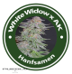 White Widow X AK Feminised Hybrid