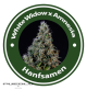 White Widow X Amnesia Feminised Hybrid