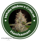 White Widow X Critical FAST Feminised Hybrid