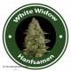 White Widow